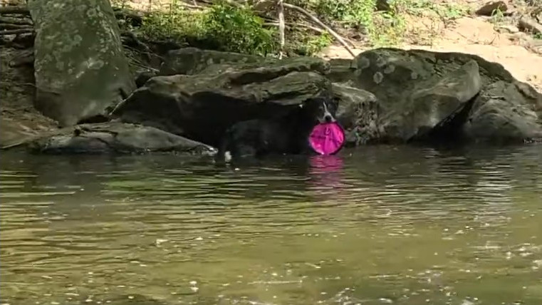 Playing By Himself